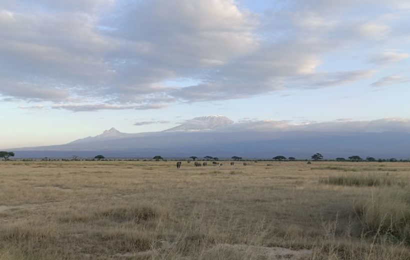 The Cradle Safari Kenya